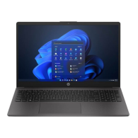 HP 250 G10 - Dual Core - 4Go RAM - 256Go SSD - Gris