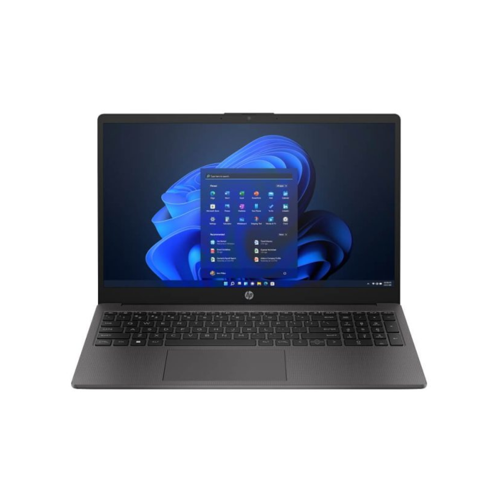 HP 250 G10 - Dual Core - 4Go RAM - 256Go SSD - Gris