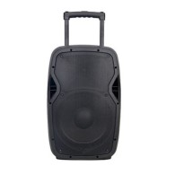 JLD HAUT PARLEUR Bluetooth - ULTRA HIGH POWER KARAOKE - 250W - 2 micro sans fil - Garantie 06 mois