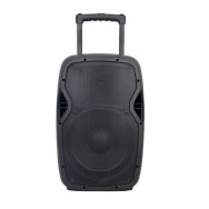 JLD HAUT PARLEUR Bluetooth - ULTRA HIGH POWER KARAOKE - 250W - 2 micro sans fil - Garantie 06 mois
