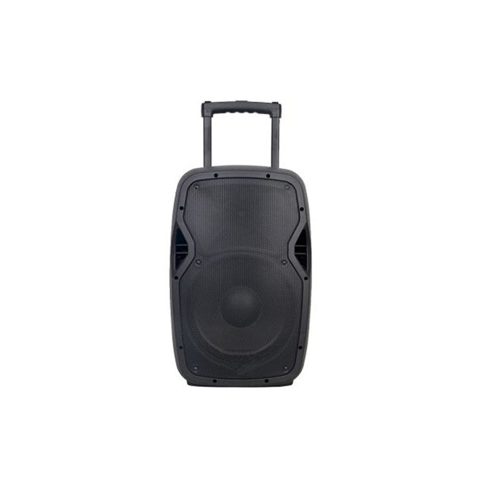 JLD HAUT PARLEUR Bluetooth - ULTRA HIGH POWER KARAOKE - 250W - 2 micro sans fil - Garantie 06 mois