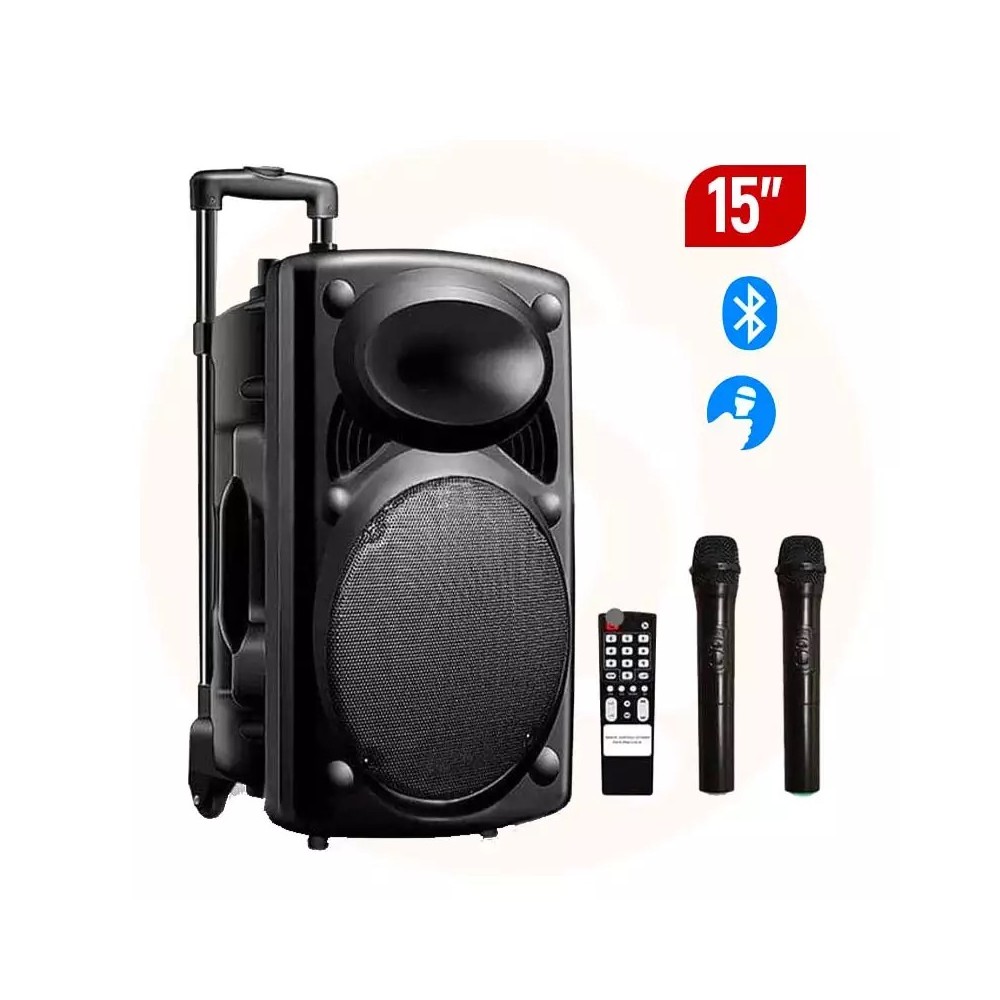Jiepak Enceinte Sono Portable D15 - 2Micros  - Garantie 06 mois